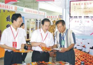 原安陽(yáng)市市長(zhǎng)董永安、副市長(zhǎng)陳明今到公司調(diào)研